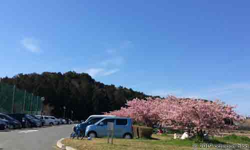 磐田市うさぎ山公園の野球場側駐車場