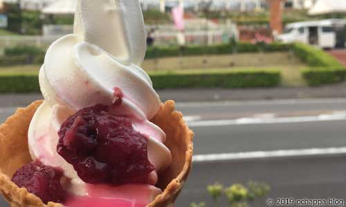 ばらの丘公園のバラの花びらジャム入りソフトクリーム