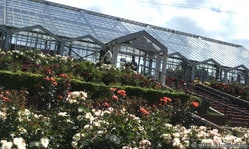 ばらの丘公園の温室ハウス