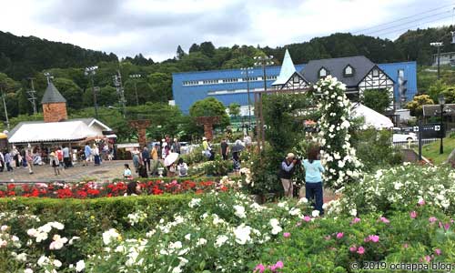 ばらの丘公園の風景