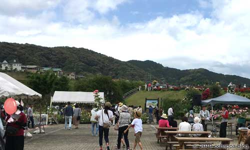 ばらの丘公園の広場