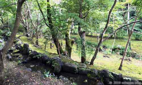 法多山のホタル観賞場所の小川