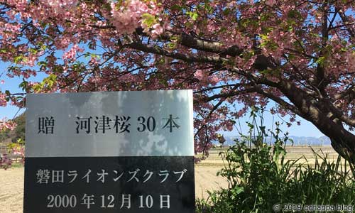 うさぎ山公園の磐田ライオンズクラブ記念碑