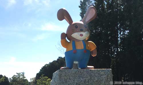 磐田市うさぎ公園のうさぎさん